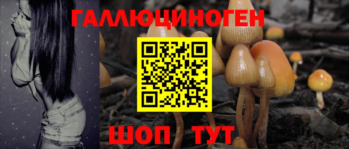 Галлюциногенные грибы Magic Shrooms  Псилоцибиновые грибы прущие грибы  Вход с VPN  Тольятти 